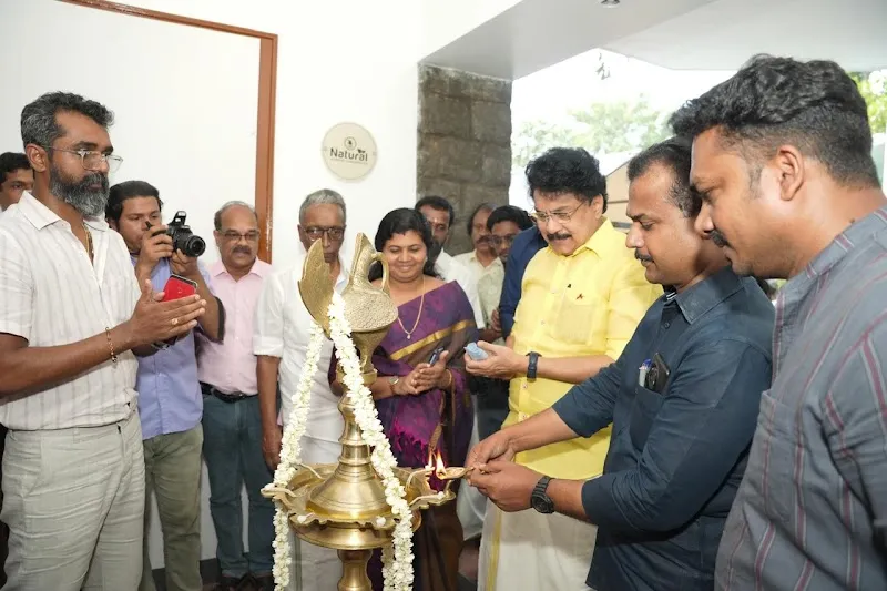 Natural Ayurvedic & Wellness Spa