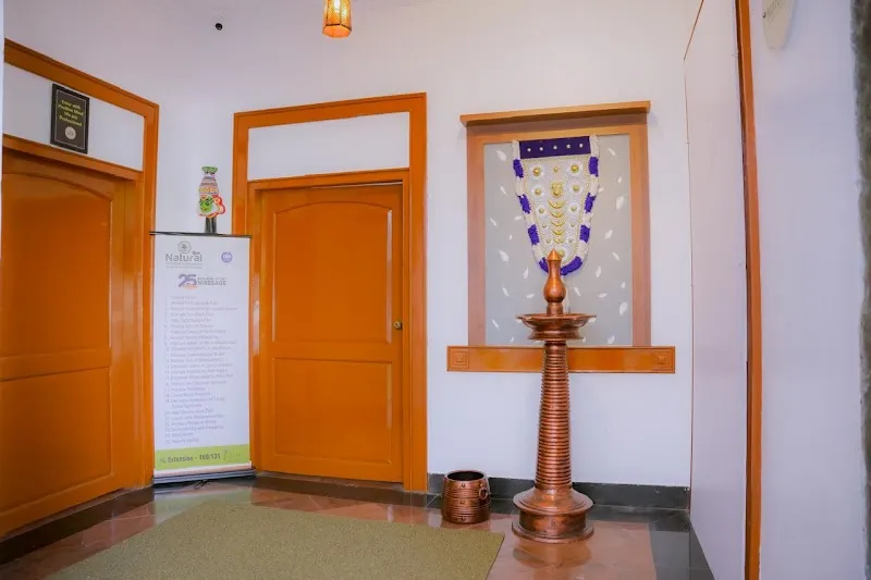 Natural Ayurvedic & Wellness Spa