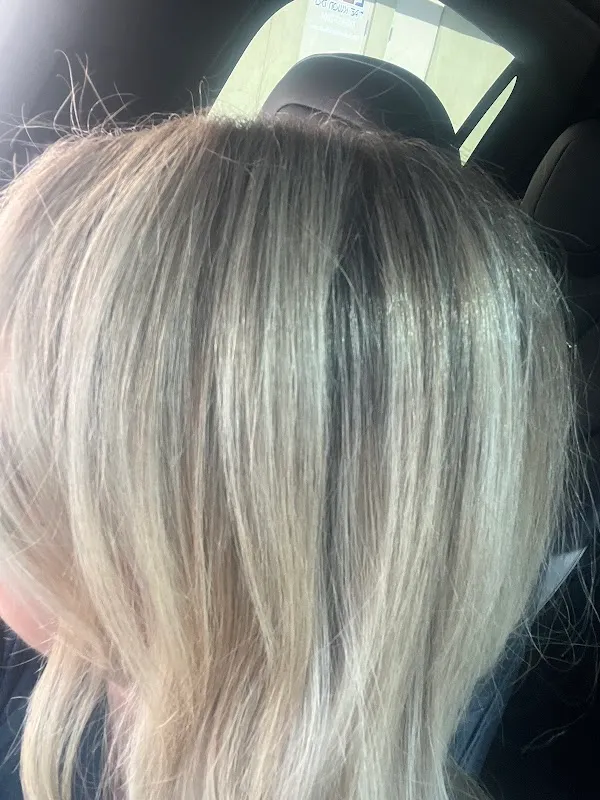 Wylde Salon