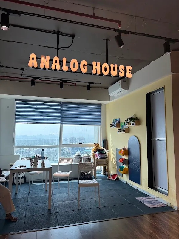 Analog House
