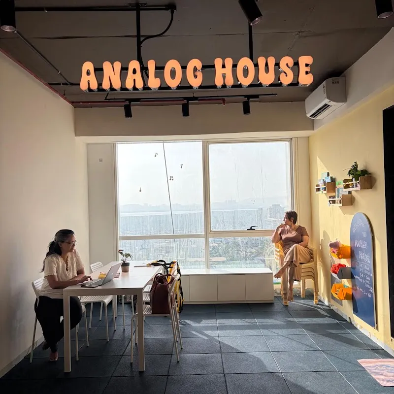 Analog House