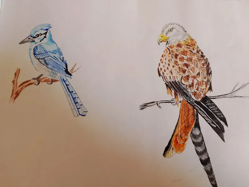 Krishna art's drawing classes