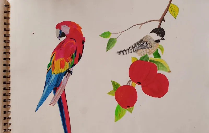 Krishna art's drawing classes