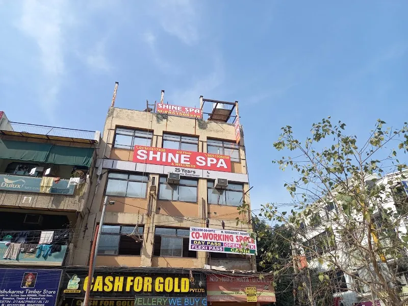 Shine spa and wellness tilak nagar
