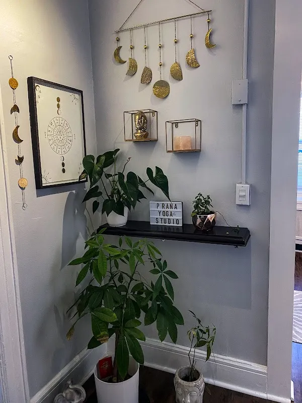 Prana Yoga