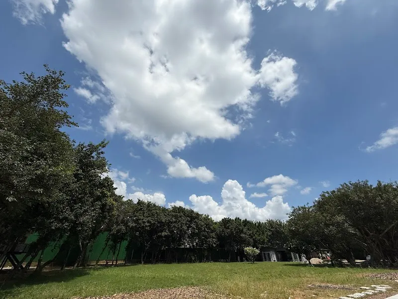 Pinhole Film City