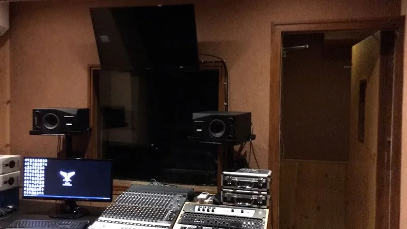 Pinch Harmonics studio