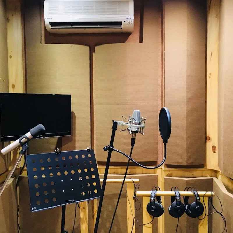 Pinch Harmonics studio