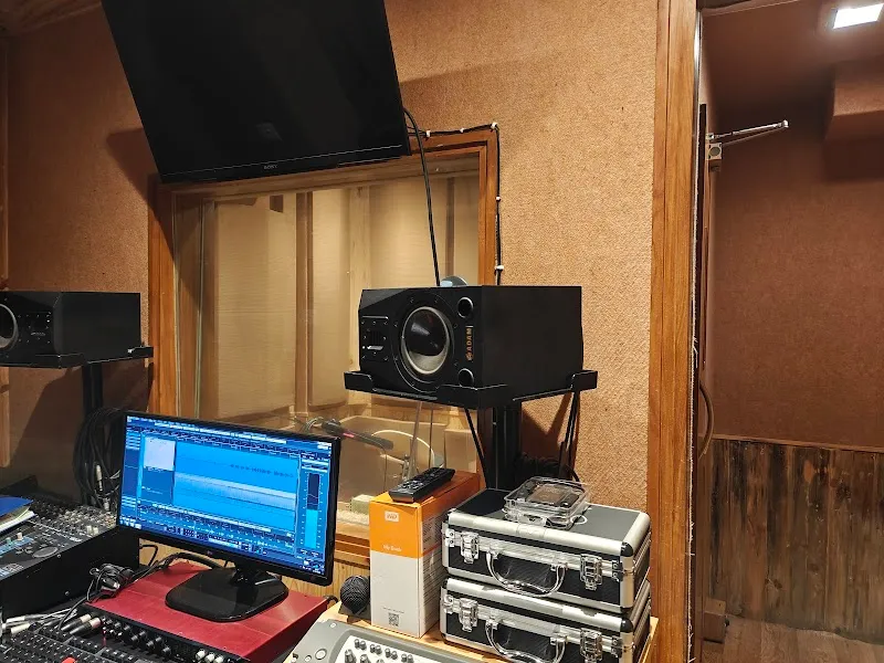 Pinch Harmonics studio