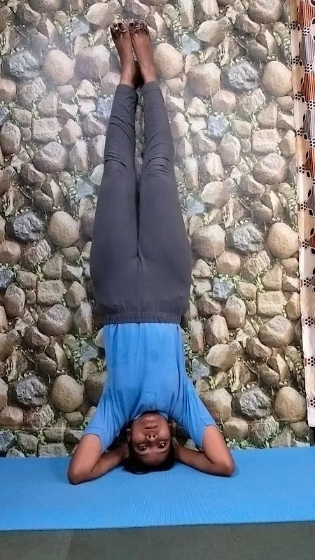 BAYS Bharat Arjun Yoga Shala