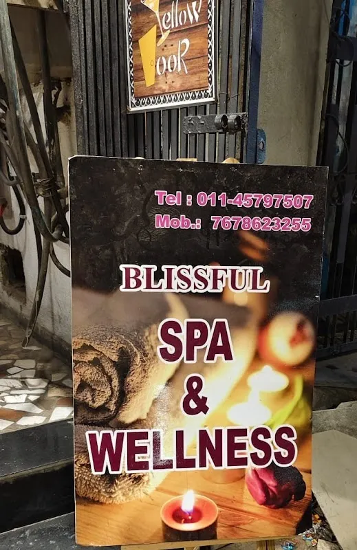 Blissful Spa & Wellness GTB Nagar - Luxury spa in GTB nagar