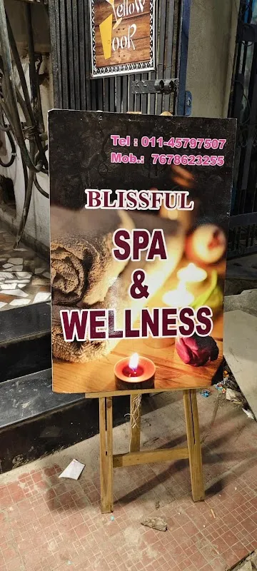 Blissful Spa & Wellness GTB Nagar - Luxury spa in GTB nagar