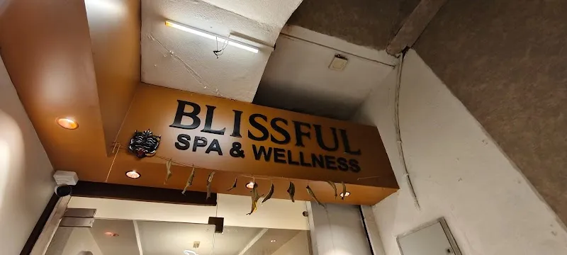 Blissful Spa & Wellness GTB Nagar - Luxury spa in GTB nagar
