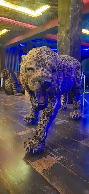LIGER ART