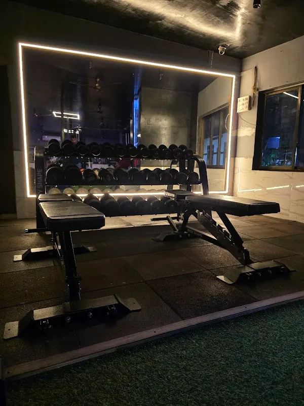 FITVERSE GYM