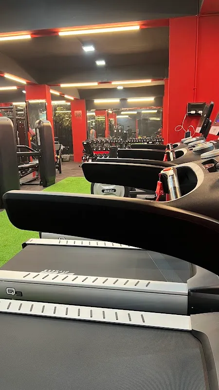 Your's Gym