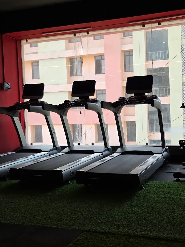 Your's Gym