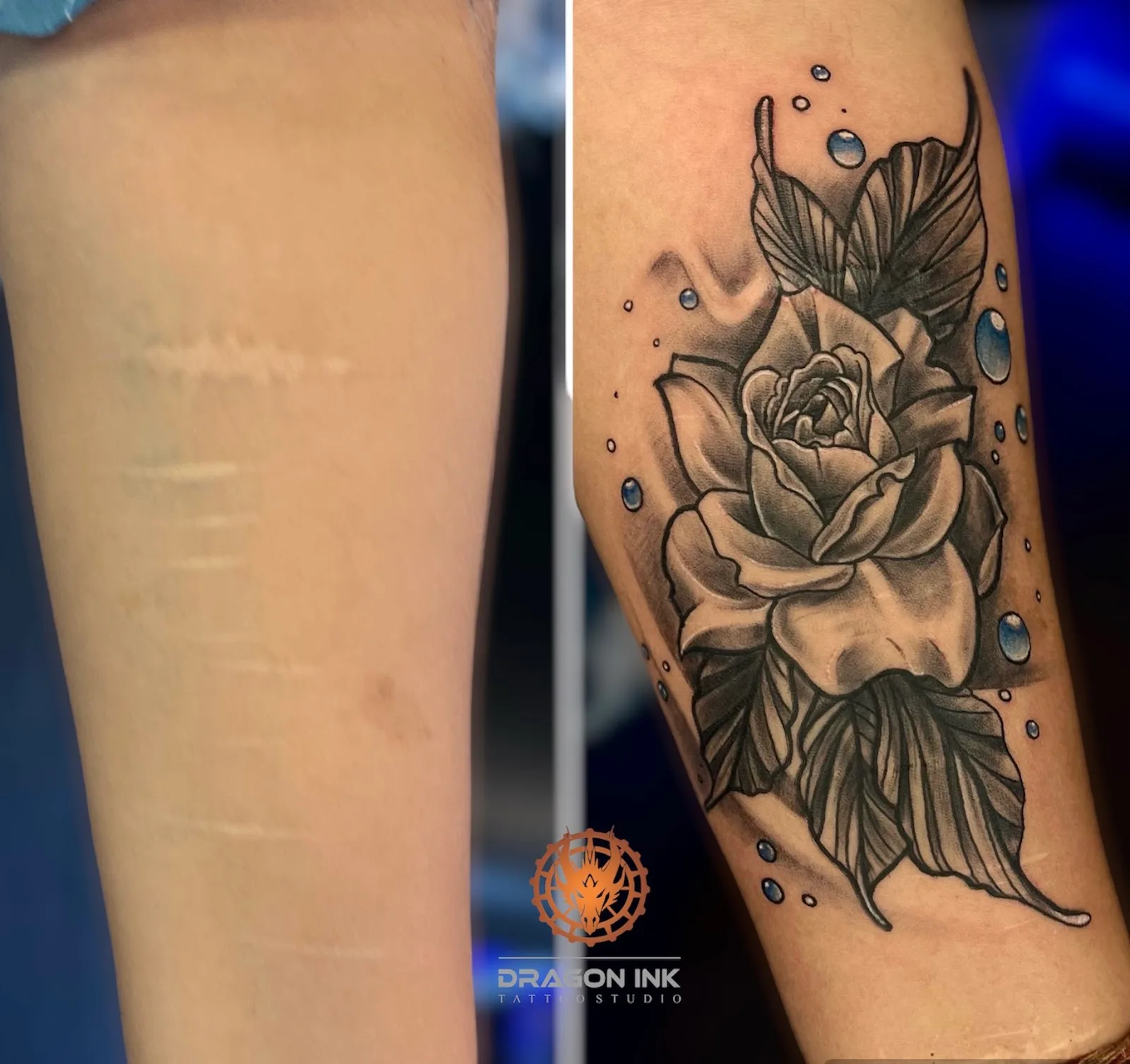 Dragon Ink Tattoo Studio