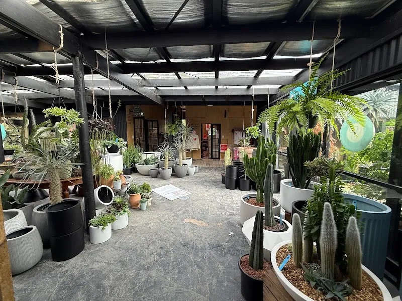 The Studio & Co.