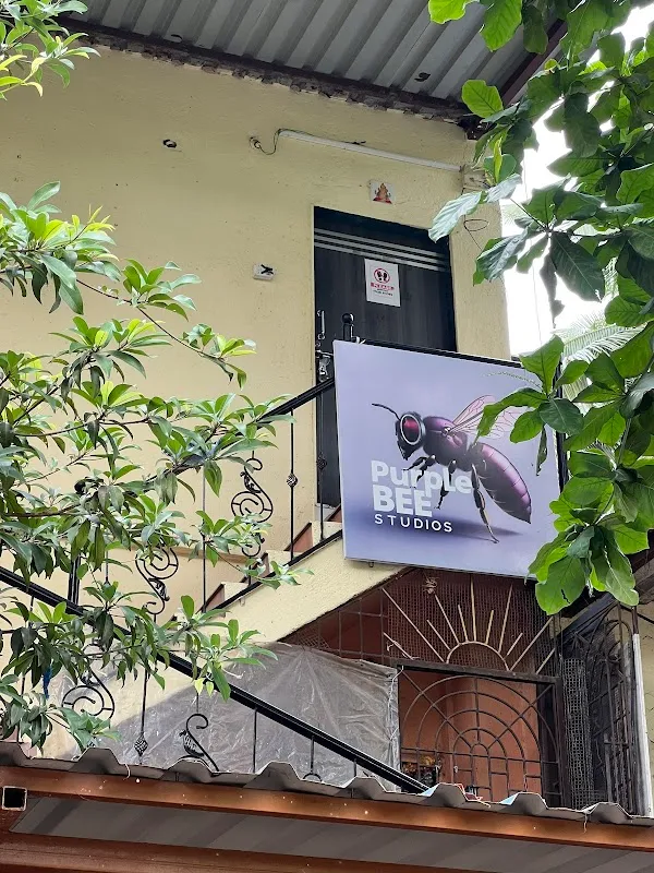 PurpleBee Studio