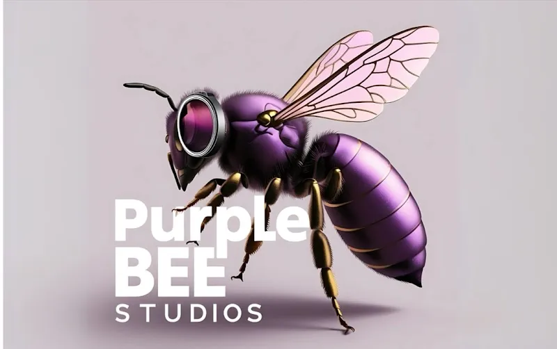 PurpleBee Studio