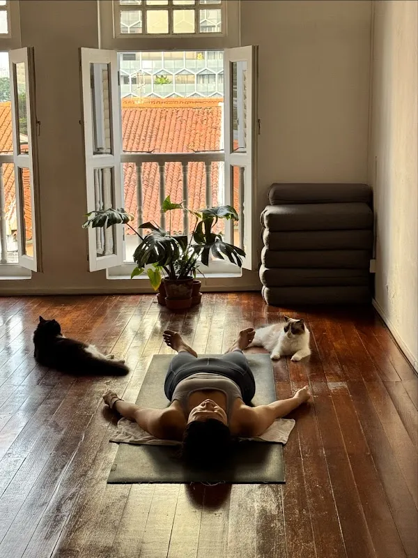 Peculiar Yogi (Arab Street)