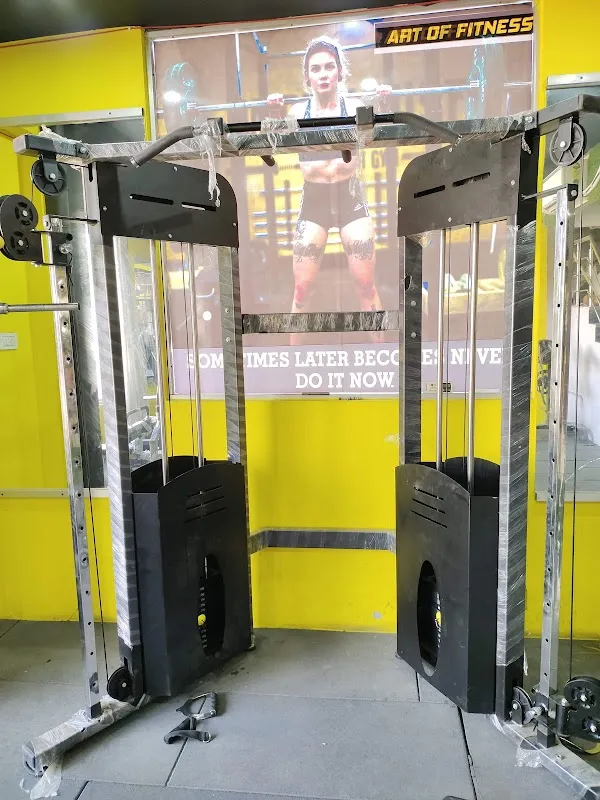 Art Of Fitness Gym
