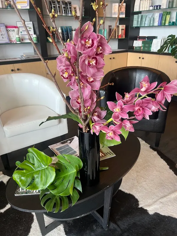 Signature Salon Of Woodbury