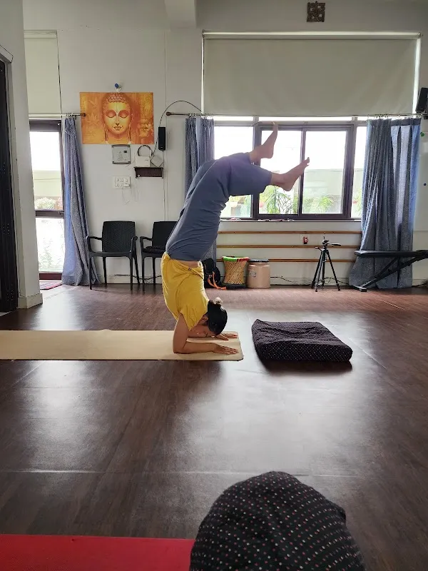 Vedanta Yoga Studio - The Yoga School