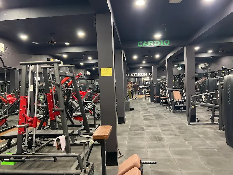 The platinum gym