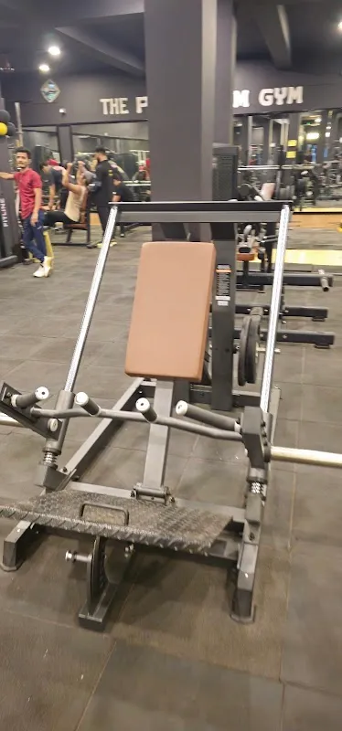 The platinum gym