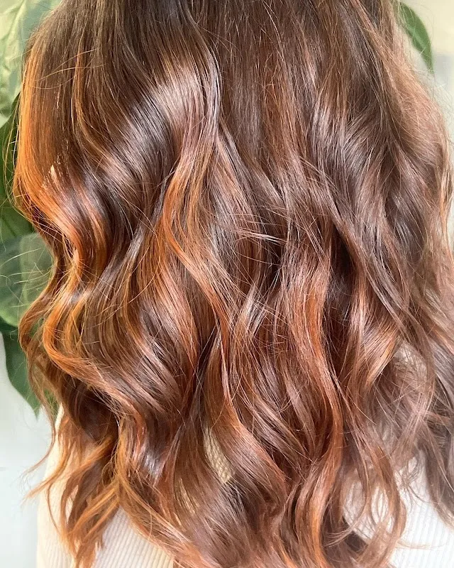 Lisa Paris Salon