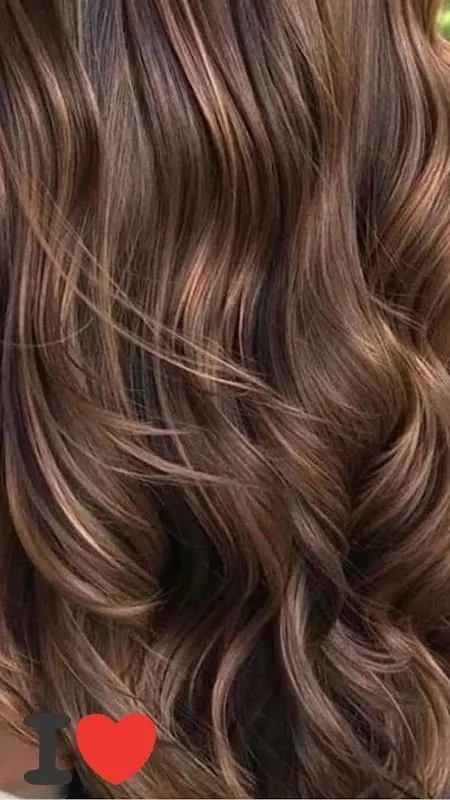 Lisa Paris Salon