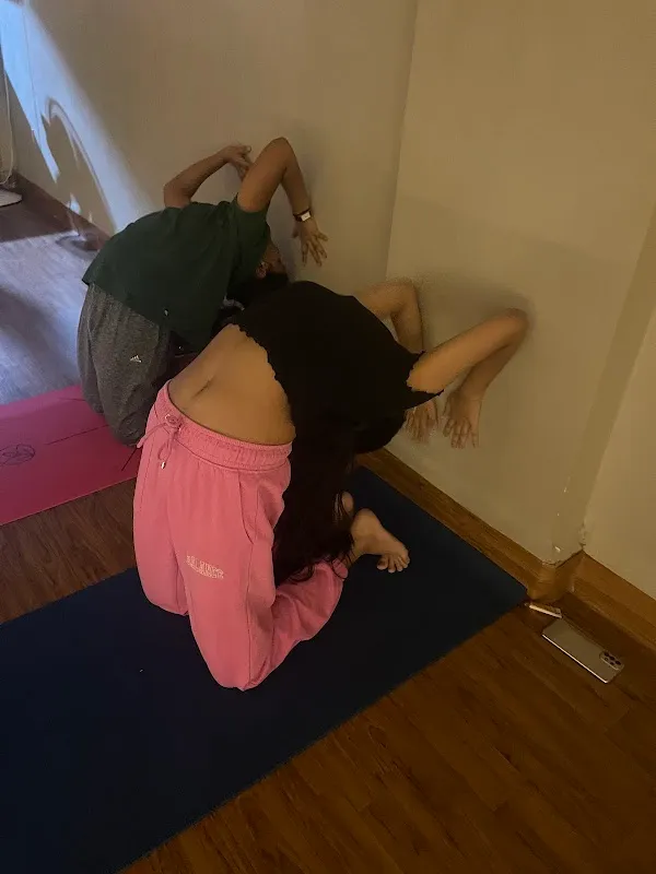 Yoga Asanaaa Traditional Yoga Studio