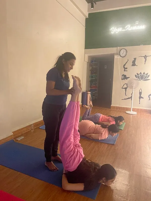 Yoga Asanaaa Traditional Yoga Studio