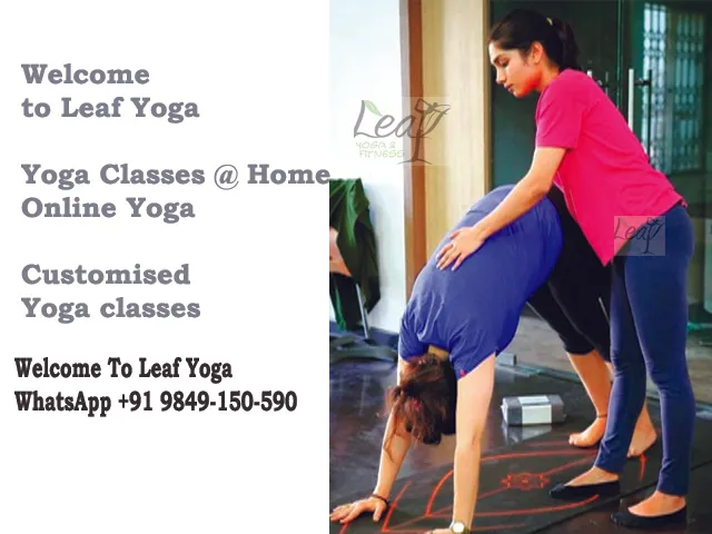 Leaf Yoga Academy