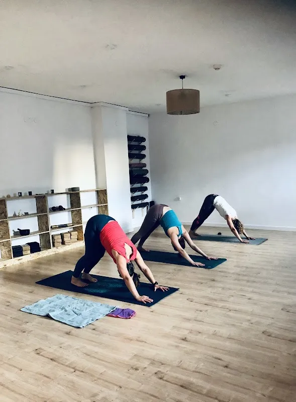 Everyday Yoga Studio