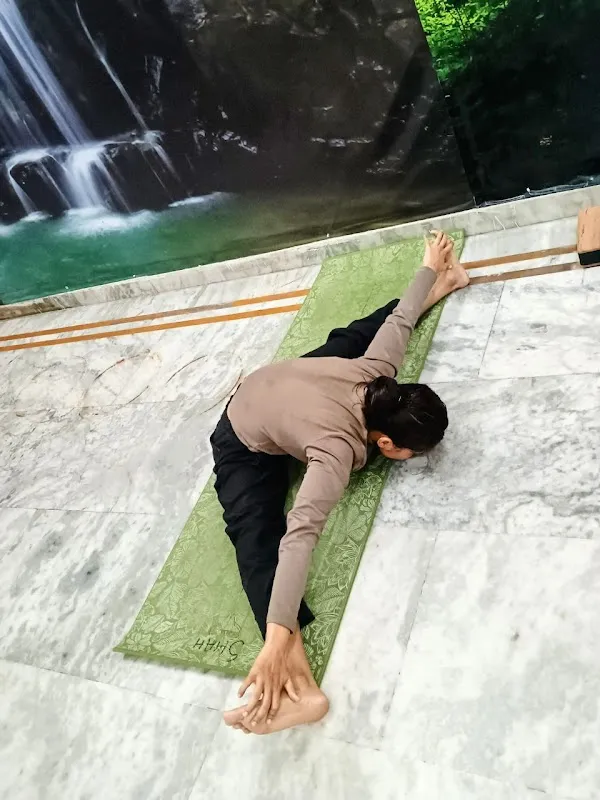 MSNM YOGSHALA
