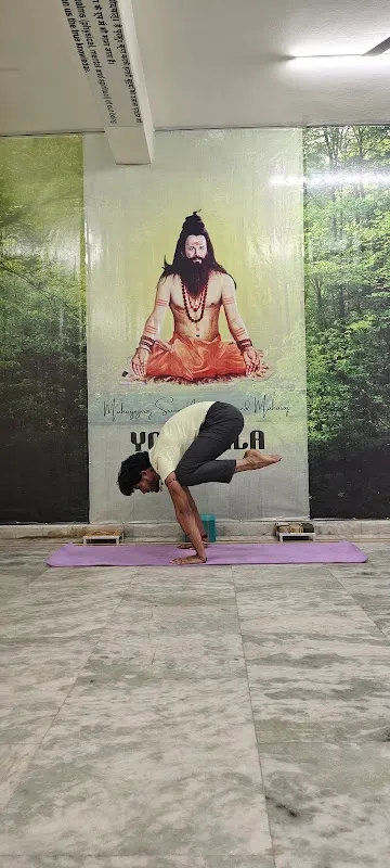 MSNM YOGSHALA