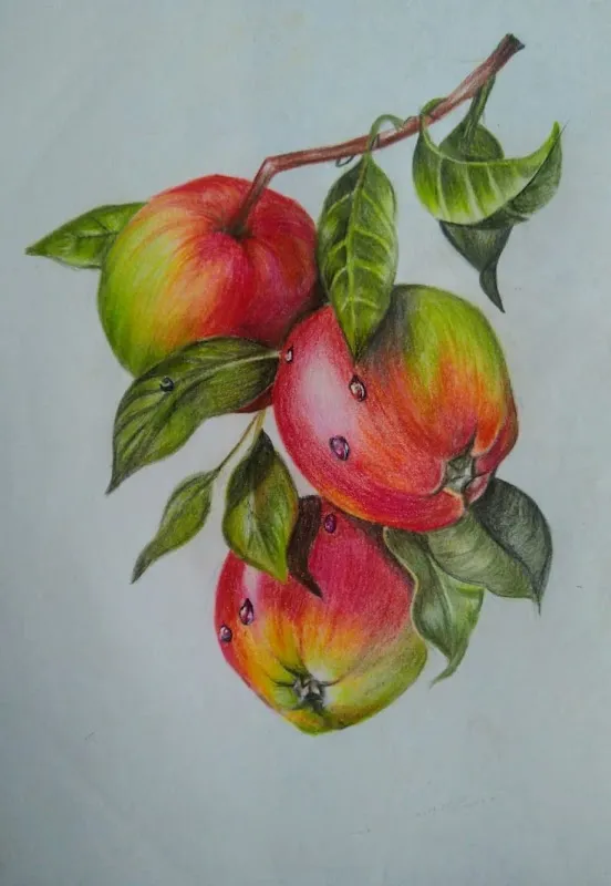 Mridu Fine Art Classes