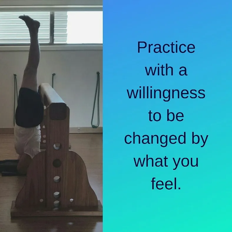The Hervey Bay School of Yoga