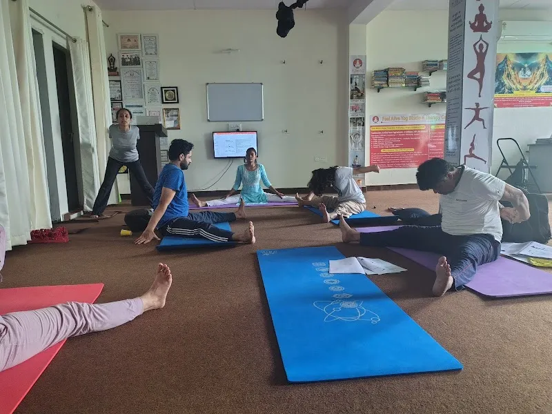 Feel Alive Yog studio & therapy centre