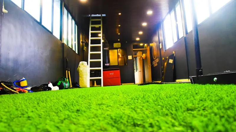 Evolution Fitness Thane