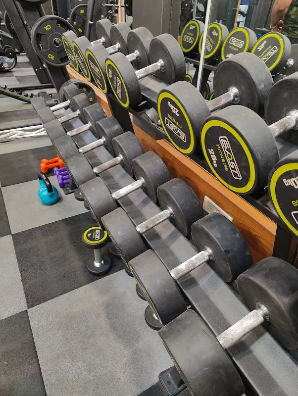 Evolution Fitness Thane