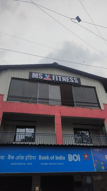 MS FITNESS