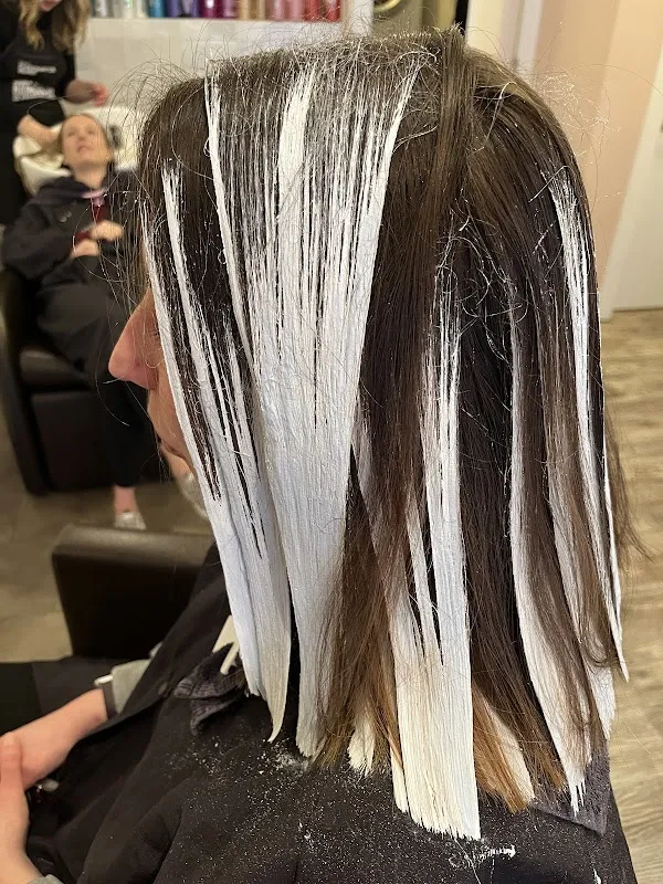 Appel Nouveau Salon