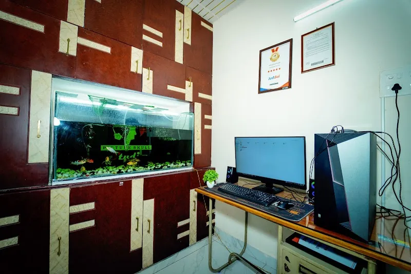 Picture Skull Studio
