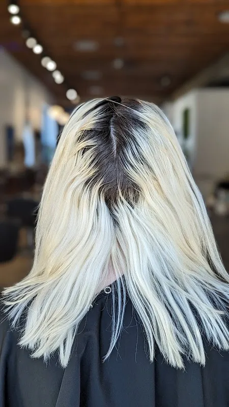 Blue Door Salon and Spa