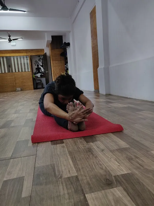 The Ashtanga Yog Shala