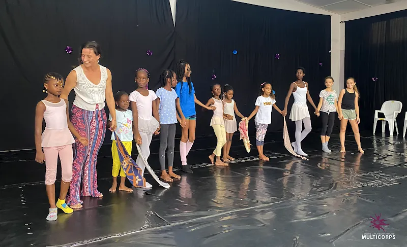 Choreographic Centre Multicorps